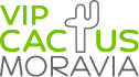 vip_cactus_moravia